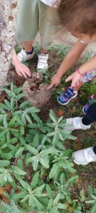 46445a11 f91e 4a0d ba4d e847b11d8c94