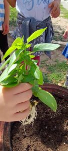 48002319 d2b0 46c6 a778 d4ed8eabaa20