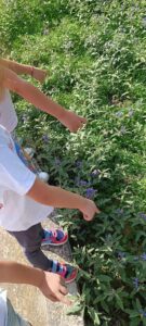 488b791a a9cb 4561 aa9c 3ac65ac19669