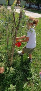 49447be3 4616 46fa af6f 7b3fcea4e917