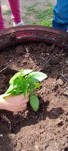 4ce3bf80 8778 43d6 a7ed 9b341bb39f24