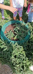 5ff8db6d 535e 4d27 8135 2d2573d46cf4