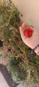 66069299 90f2 4925 a0c4 bb35a7f2be14