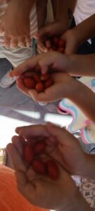 6b130725 6e87 4a55 972e f3958027cdc3