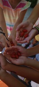 7489d6ae 4f3e 4577 87cd e9e460c0f425