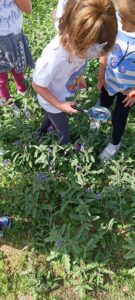 82a1f753 9abe 4b38 ae88 b0148f535bfb