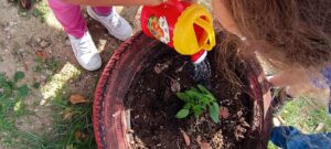 a9a01327 00e1 417e a434 388ee20ff4c4