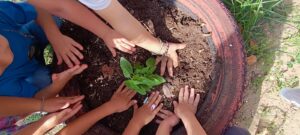 ab9a6a1f 9c3d 46b1 9452 ff6d36d7b5aa