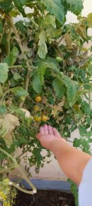 d96e9e95 45f5 473c b109 76c00ca31fc7 1