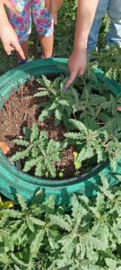 fd2c55d2 b53a 443a 8b1c 5a9884fa54a4 Αντιγραφή