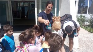 c1c2f6f8 f92f 46e1 8f2c 2af8e05464ec