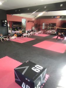 d6f58ee4 1330 4cc3 81b3 710c5d8e3418