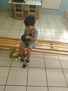 4090dc66 54d1 4ae8 8f6f 74981b4f5c47