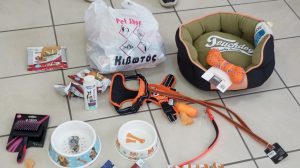 4b90b564 88db 475a 80e3 5bee5b48a1de