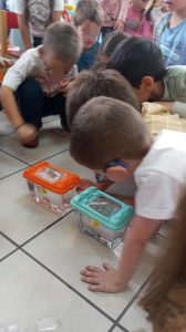 7d2d73e7 f49a 4930 ad31 9d1e14ca78a5