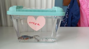 d0022f48 a34a 4137 97c6 23ca24bb4cec