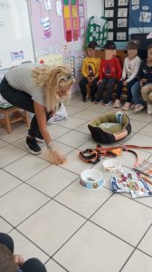 f3cb181b 1db6 462b a0eb 466b1b37cffb