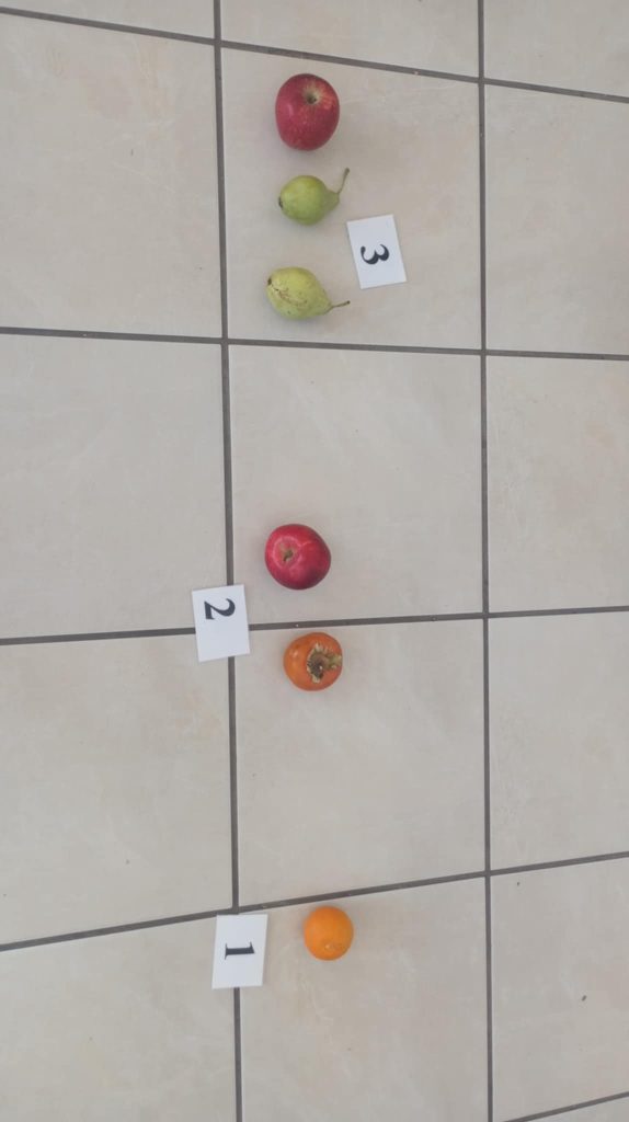 f6ecff7b 0b8d 490c 94af c8b3e262e75c