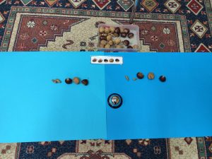 0 02 05 11c995b79562f3a04f788fa9cd57c9af4d837242f0d2bc0ada6c560f231631d4 9badf440f4f35c2d