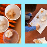 B461D713 1486 4058 BD86 C722DF92EE60