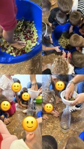 6be269eb b058 4b6f 90e1 c0db7226ff89