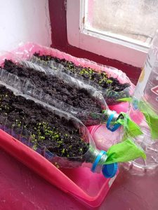 70d9d31f f358 481d accf 7299e4cf0127