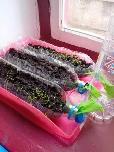 d2c0937a c900 4efa b777 120bcca9b36d