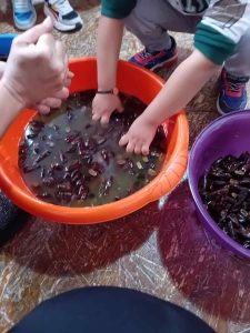 7a456b34 4e81 4e31 a90c e70021c48213