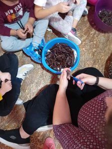 be6ce0c9 9097 48ca a6ad b509238c44a9