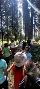 IMG 0f0838cda15a1f1b4b1f6a235e9a3cd4 V