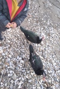 IMG 20211207 194153 Small 2