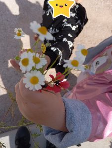 IMG db896f04f57d383ff477a20bd9a7001c V