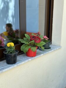 IMG 7223