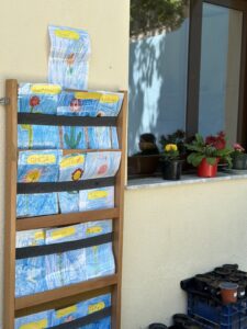 IMG 7224
