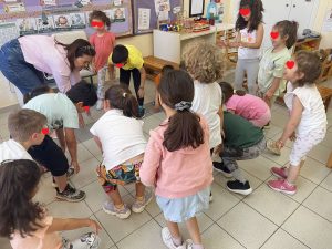 IMG db7b4b970c565990124d1eae961d16d5 V