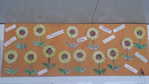 ομαδικη ηλιοτροπια 1