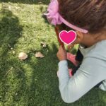 αναζητώντας το φθινόπωρο