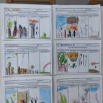 το δασος πριν και μετα την πυρκαγια