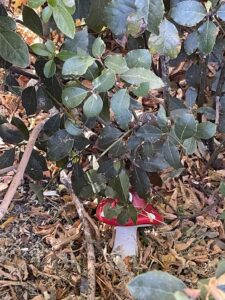 3a22b719 b478 43fa a96f a76beffc8032