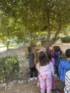 a06fc337 2fbf 458f ad01 87ee62c67820