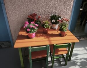 IMG 20250128 120901