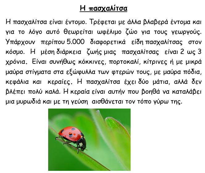 Η πασχαλίτσα!! | 4ο Νηπιαγωγείο Παραλίας Πατρών