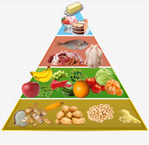 mtpc d02 food pyramid own