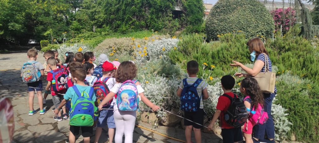 IMG f81816c7fb7aafc80e68fcfad35aabfa V