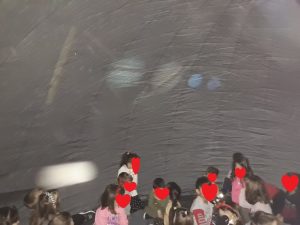 IMG ff7c31fc4f9912846cd321788a11fd6d V