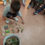 IMG 38e76830ae12885cb39b9eb3e594f4fb V