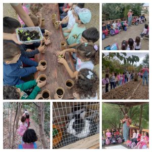 IMG 3c49d2d91f8dde70bbf81401a77d981f V