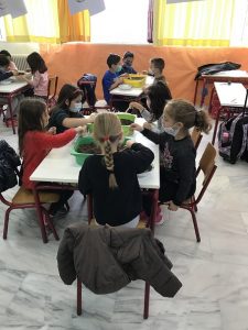 IMG 0559