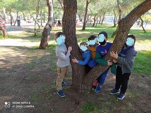 IMG 8595cebf63eb16e9c65d49ed0aedf3b2 V