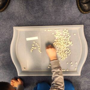 α οπως αλκυονα